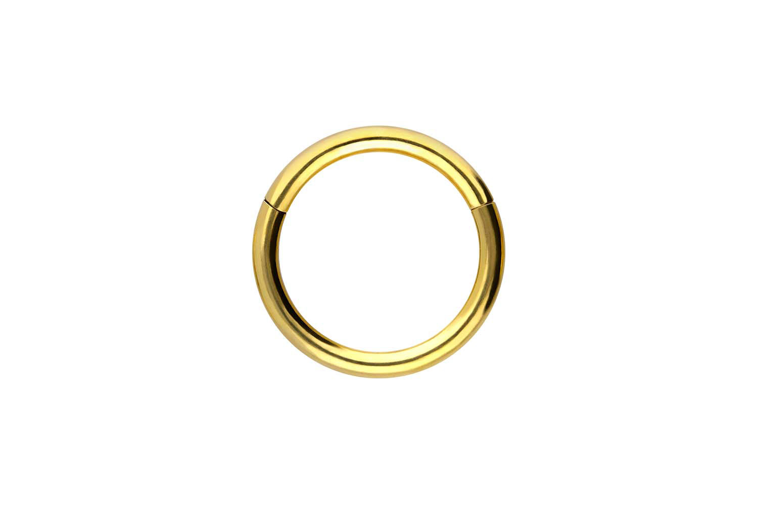 Chirurgenstahl Segmentring Clicker Piercing